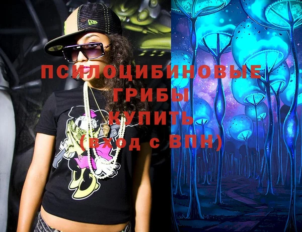 ПСИЛОЦИБИНОВЫЕ ГРИБЫ Алексин
