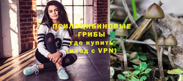 гидропоника Алексеевка