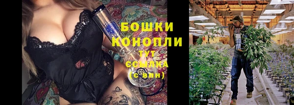 ешки Алзамай