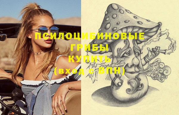 ешки Алзамай