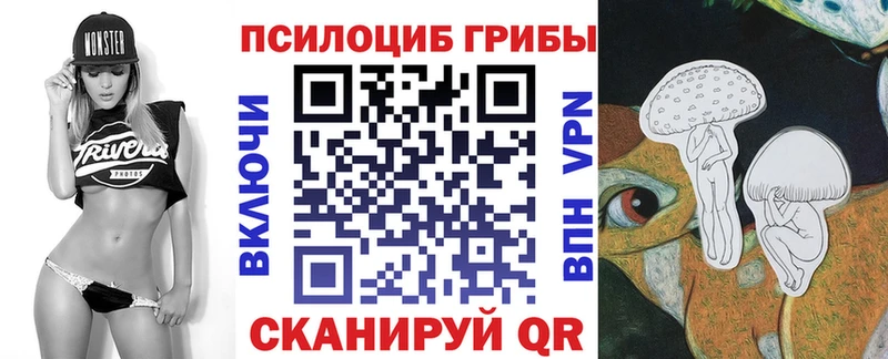 продажа наркотиков  Усть-Илимск  кракен ТОР  Галлюциногенные грибы ЛСД 