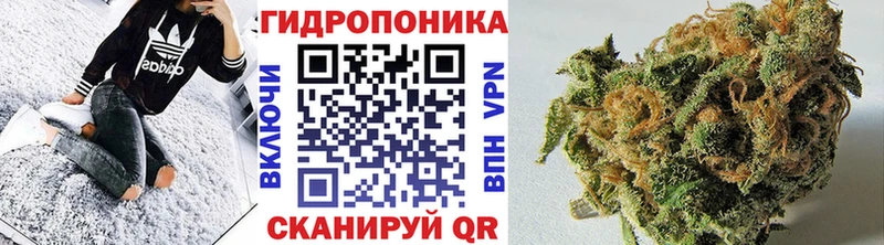 дарнет шоп Усть-Илимск Бошки Шишки SATIVA & INDICA